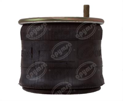 Bolsa De Aire Rolling Lobe Hendrickson Watson Goodyear R