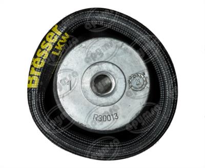 BOLSA DE AIRE SLEEVES CABINA BRËSSER-LKW 00SE5005029 