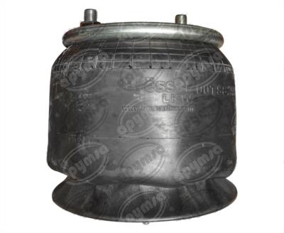 BOLSA DE AIRE BELLOWS BRËSSER-LKW 00TS829D035 