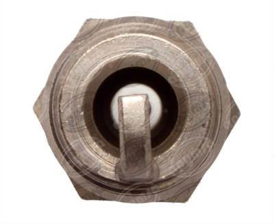 BUJIA RESISTIVA FORD LTD, MARQUIS, MUSTANG BOSCH DR10BC 