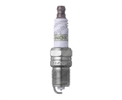BUJIA PLATINO FOCUS ESCAPE RANGER GT NGK TR6GP 