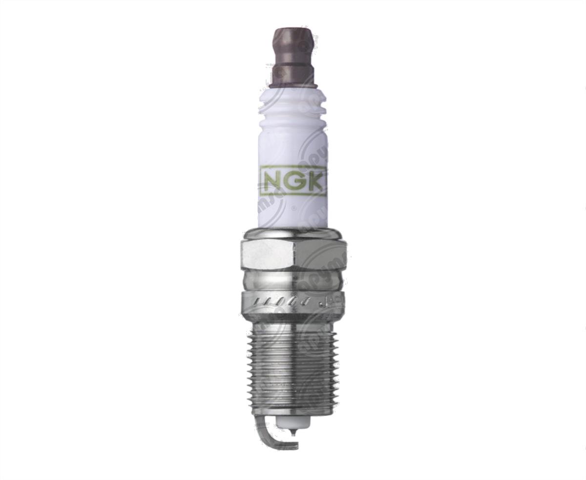 BUJIA PLATINO FOCUS ESCAPE RANGER GT NGK TR6GP 