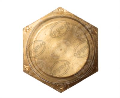 BULBO TEMPERATURA DE FOCO 100-110 ºC IMPORTADO TS-11 