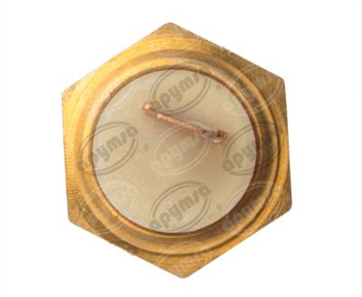 BULBO TEMPERATURA DE FOCO MTE-THOMSON 3740 
