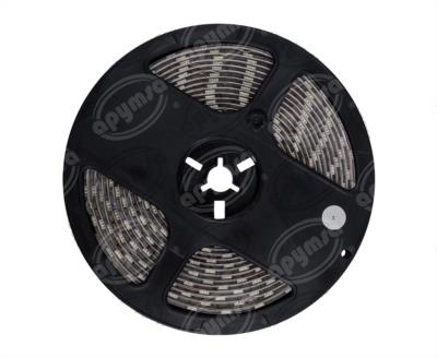 LUZ TIPO CINTA CON LED BLANCO 12V TIPO 5050 SMD QBH STAR 70652 W 12V 300 