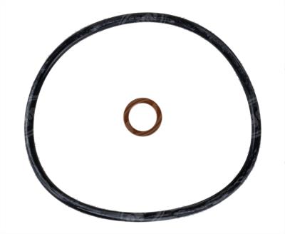 FILTRO ACEITE LAND ROVER, X5 PUROLATOR TL35280 