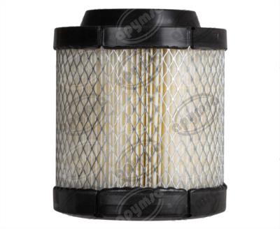 FILTRO AIRE NEON, PUROLATOR TA25306 