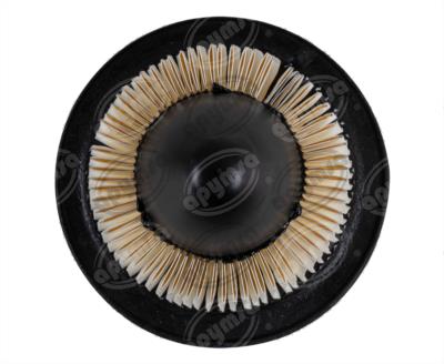 FILTRO AIRE CONTOUR,ESCAPE,EXPEDITION,MUSTANG PUROLATOR TA34877 