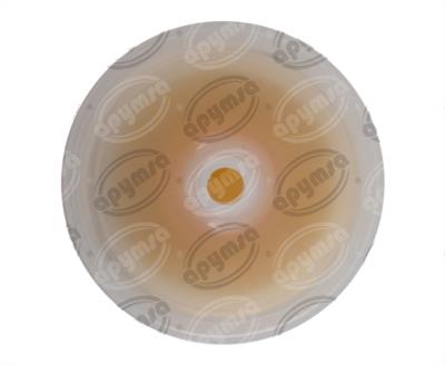 FILTRO GASOLINA IMPERIAL,NEW YORKER,COURIER,626,B2000,GLC,RX-7 PUROLATOR F20011 