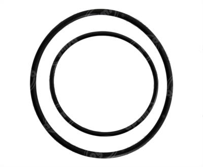 FILTRO GASOLINA PUROLATOR F55590 