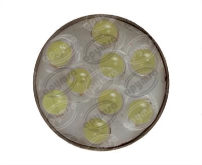 FOCO LEDS 1003 BLANCO 12V 9 LEDS 2PZ QBH STAR 1003 
