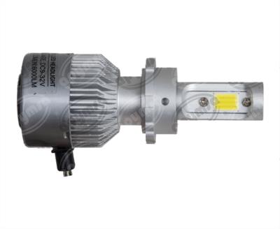 FOCO LED-LITE QBH STAR D1S 