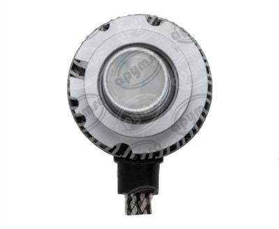FOCO LED-LITE QBH STAR D1S 