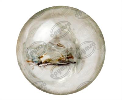 FOCO INCANDESCENTE 921 TRANSPARENTE 12V 21W 1 POLOS 1PZ TIPO PELLIZCO GRANDE PARA LUZ INTERIOR WAIGEER 921 