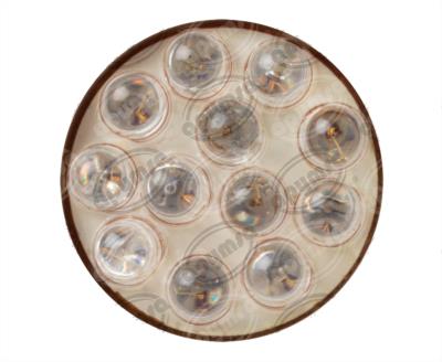 FOCO LEDS 1176 ROJO 12V 12 LEDS 21-5W 2PZ HQL 1176 R 