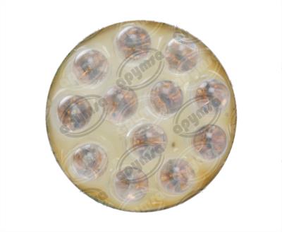 FOCO LEDS 1176 MORADO 12V 12 LEDS 21-5W 2PZ HQL 1176 M 