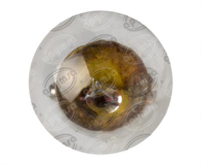 FOCO INCANDESCENTE 57 TRANSPARENTE 24V 6W 1 POLOS 1PZ QBH STAR 57 24V 