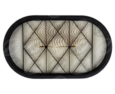 FILTRO AIRE PRIMARIO OBLONGO POWERCORE MOTORES CAT, PACCAR DONALDSON P616056 