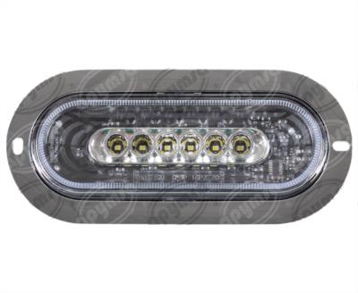 PLAFON LEDS BLANCO TRASERO 3.4" 6 LEDS 12-24V GALACTIC OVALADO QBH STAR 2979149 