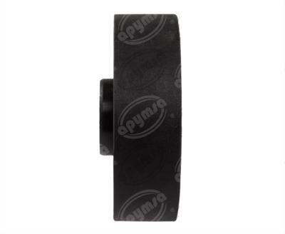 POLEA LOCA MOTOR LISA CHEVROLET POLTEK 137029 