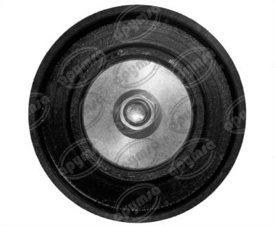 POLEA LOCA MOTOR NACIONAL 138825 