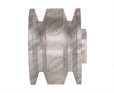 POLEA ALTERNADOR DELCO 2 RANURAS ECHLIN MX-1022 