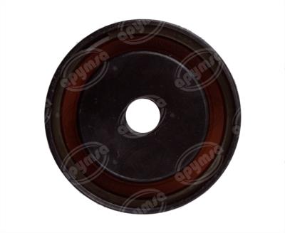 POLEA LOCA MOTOR LISA RENAULT NACIONAL 137054 