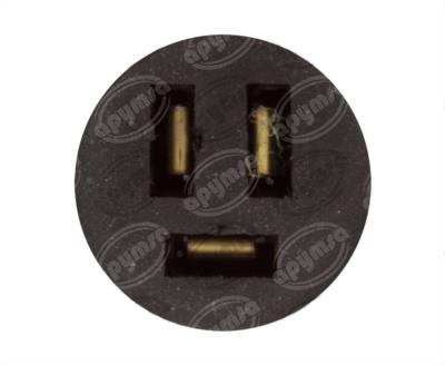 REGULADOR VOLTAJE ALTERNADOR DELCO 20DN 12V 50A TIPO COSTILLON TRANSPO D590S 