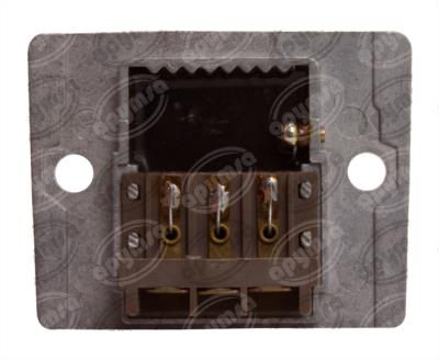 REGULADOR VOLTAJE ALTERNADOR NIPPONDENSO IR/EF 12V TRANSPO IN209 