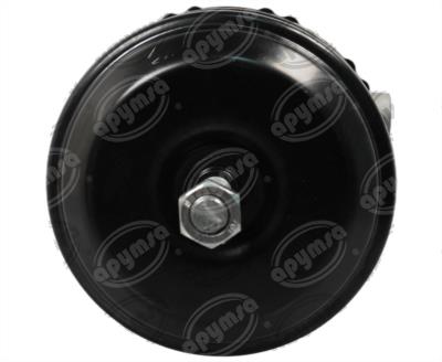 ROTOCHAMBER DOBLE ABRAZADERA TRASERO/IZQ SITRAK-HOWO BRËSSER-LKW 812W50410-6884 