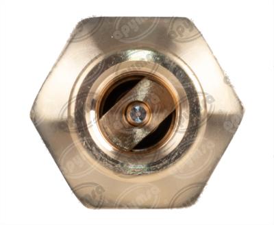 VALVULA CHECK RETENCION PARA SECADOR DE AIRE AD-9 BRËSSER-LKW 35TV0107800 