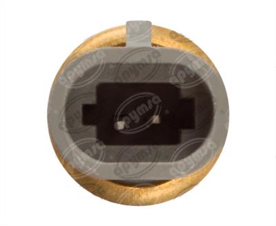 SENSOR TEMPERATURA CARGA DE AIRE 12V 2 TERMINALESTERMINALES  ACURA, BUICK, CHEVROLET, PONTIAC MTE-THOMSON MTE-THOMSON 5029