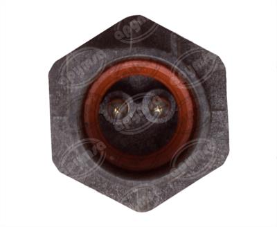 SENSOR TEMPERATURA CARGA DE AIRE 12V 2TERMINALES FORD EFI PARTS 101-05