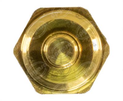 SENSOR TEMPERATURA REFRIGERANTE F-250/350/450/550 SD 7.3L POWERSTROKE MOD. 99-03 T TECNOFUEL 1889511C1 