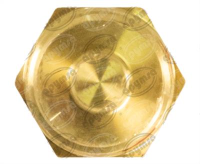 SENSOR TEMPERATURA REFRIGERANTE CUMMINS ENGINES T TECNOFUEL 3015238 