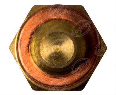 SENSOR TEMPERATURA REFRIGERANTE AZUL NISSAN MTE-THOMSON 4025-AZUL 