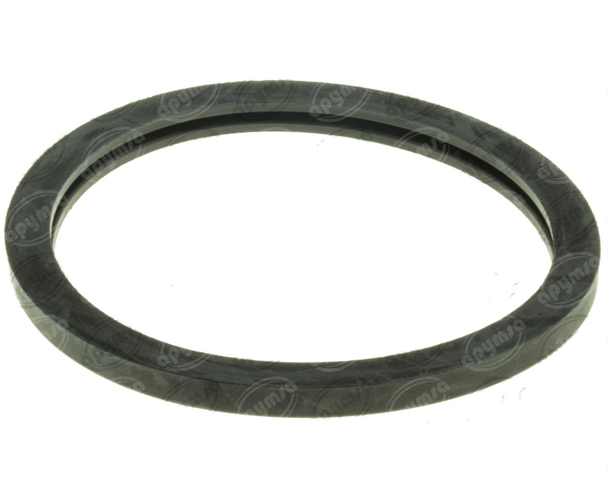 SELLO TERMOSTATO SUZUKI SX4 2.0L 07-13 QBH CARFAN MG23EA 