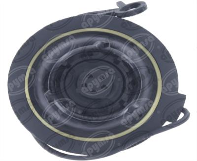 TAPA TANQUE COMBUSTIBLE FORD FOCUS 2.0L 05-07 QBH CARFAN MGC832T 