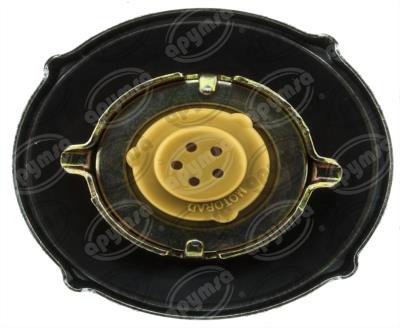 TAPA TANQUE COMBUSTIBLE FORD F-150 5.0L 79-86 QBH CARFAN MGC818 