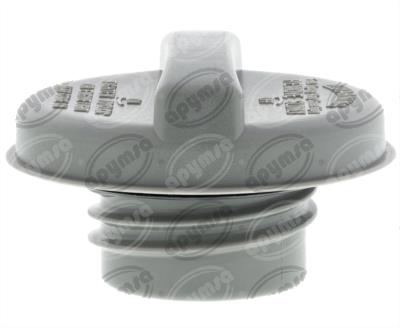 TAPA TANQUE COMBUSTIBLE FORD F-150 4.6L 97-97 QBH CARFAN MGC833 