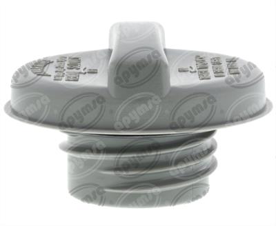 TAPA TANQUE COMBUSTIBLE FORD F-150 4.6L 97-97 QBH CARFAN MGC833 