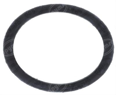 SELLO TERMOSTATO FORD FOCUS 2.0L 00-04 QBH CARFAN MG29EA 