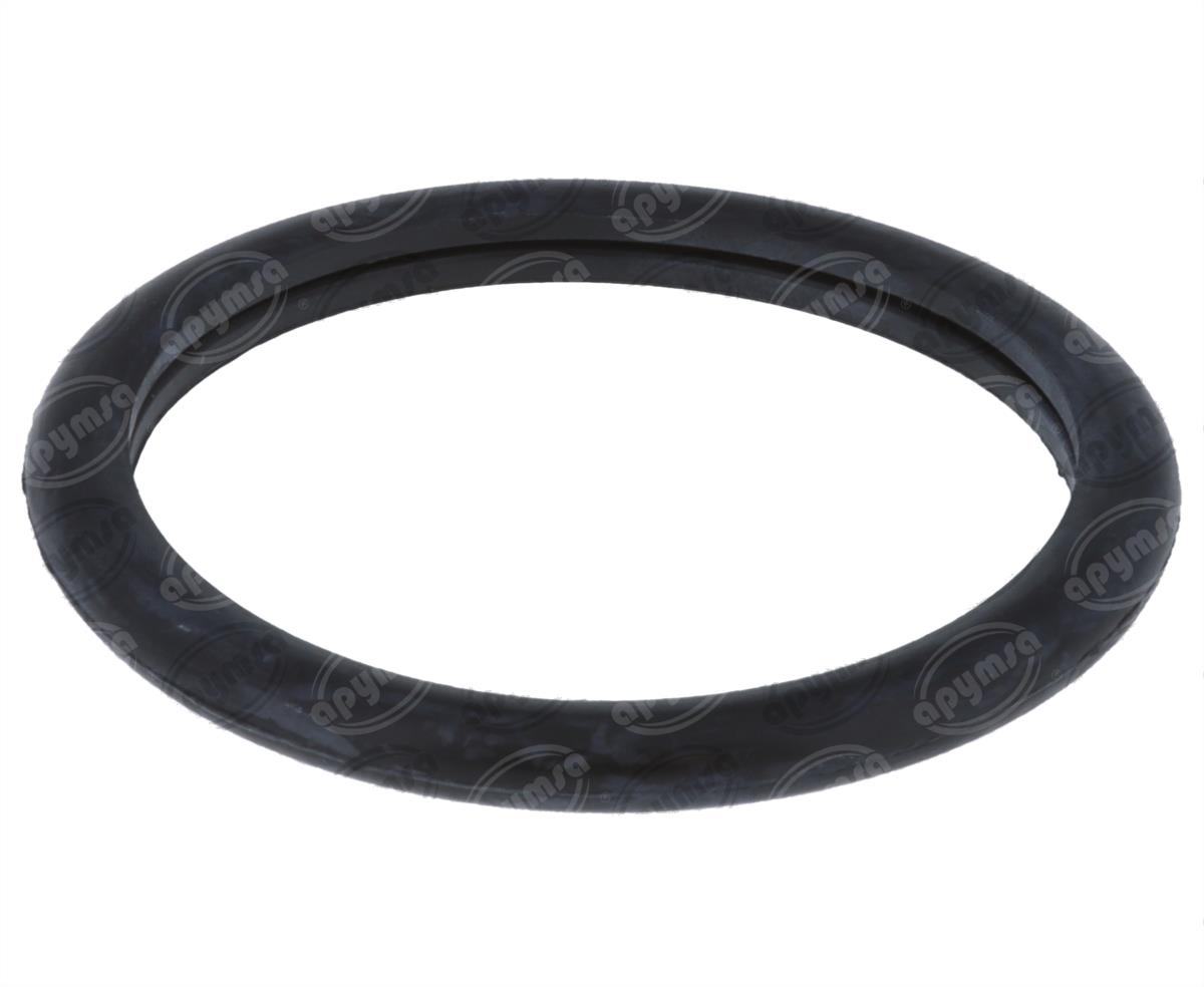 SELLO TERMOSTATO FORD FOCUS 2.0L 00-04 QBH CARFAN MG29EA 