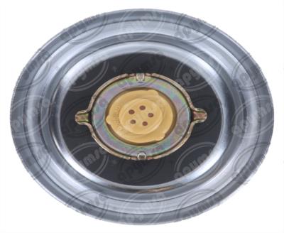 TAPA TANQUE COMBUSTIBLE FORD F-100 5.9L 73-76 QBH CARFAN MGC24 