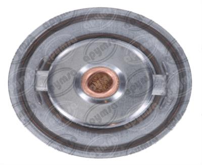 TERMOSTATO AUTOMOTRIZ 3" BMW 325I 2.5L 90-95 QBH CARFAN 247-160 