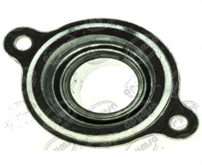 TOMA DE AGUA AUTOMOTRIZ FORD F-150 5.0L 11-24 QBH CARFAN CH6015 