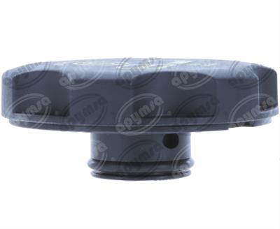 TAPA DEPOSITO REFRIGERANTE JEEP WRANGLER 2.0L 18-21 QBH CARFAN T114 