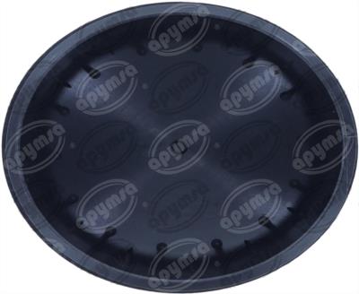 TAPA FILTRO ACEITE AUDI S4 4.2L 04-09 QBH CARFAN MO307 