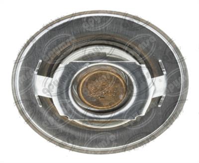 TERMOSTATO AUTOMOTRIZ 02-17 RENAULT CLIO 1.6L QBH CARFAN 305-192 