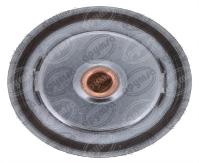 TERMOSTATO AUTOMOTRIZ 01-11 FORD RANGER 4.0L QBH CARFAN 248-192 